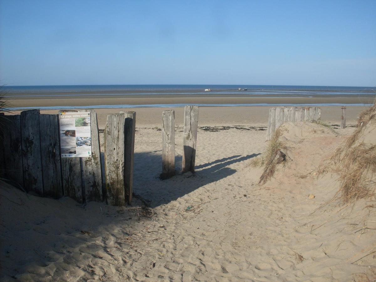 Utah Beach Sainte Marie du Mont Bagian luar foto